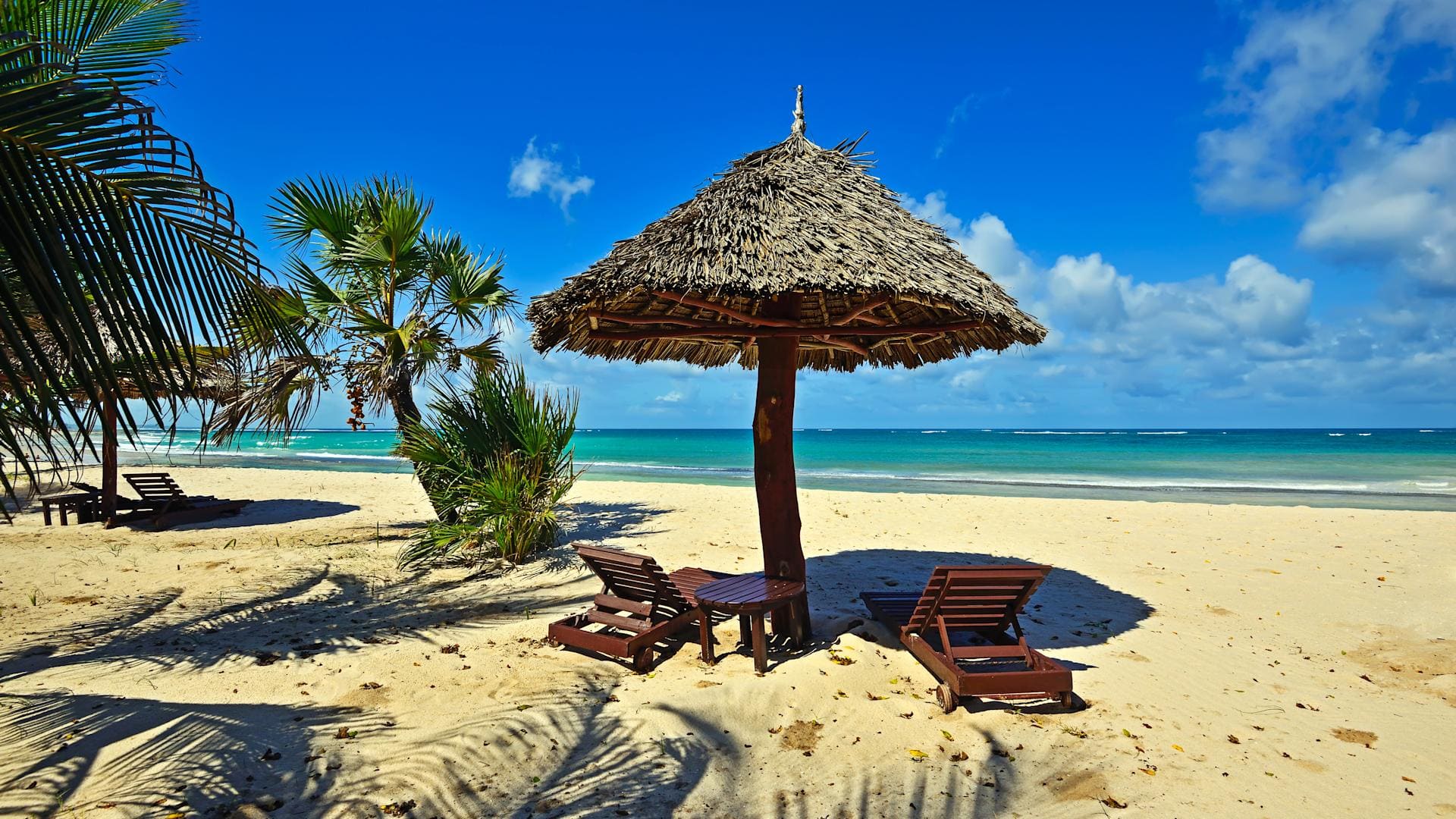Beach Thrills and Coastal Dreams An Adventure Experience (1)