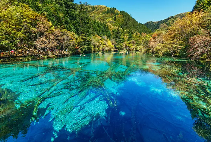 Hidden Gems in Nature Scenic Spots Off the Beaten Path